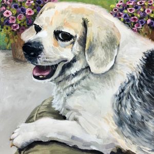 Marley <br> 11" x 14" Oil on Canvas