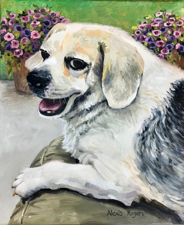Marley <br> 11" x 14" Oil on Canvas