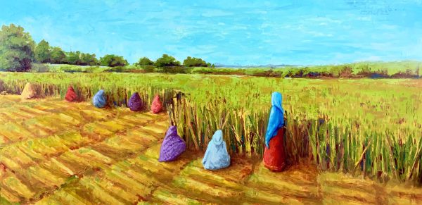 Harvest of Hope <br> 24" - 48" Oil on Canvas