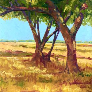 Sheltering Trees <br> Oil on Canvas